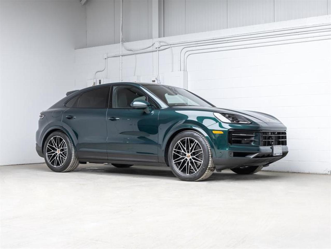 2026 Porsche Cayenne  Photo