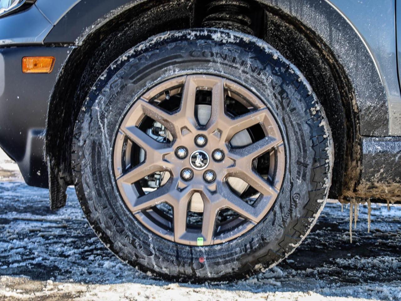 2026 Ford Bronco Sport Big Bend 4dr 4x4 Photo