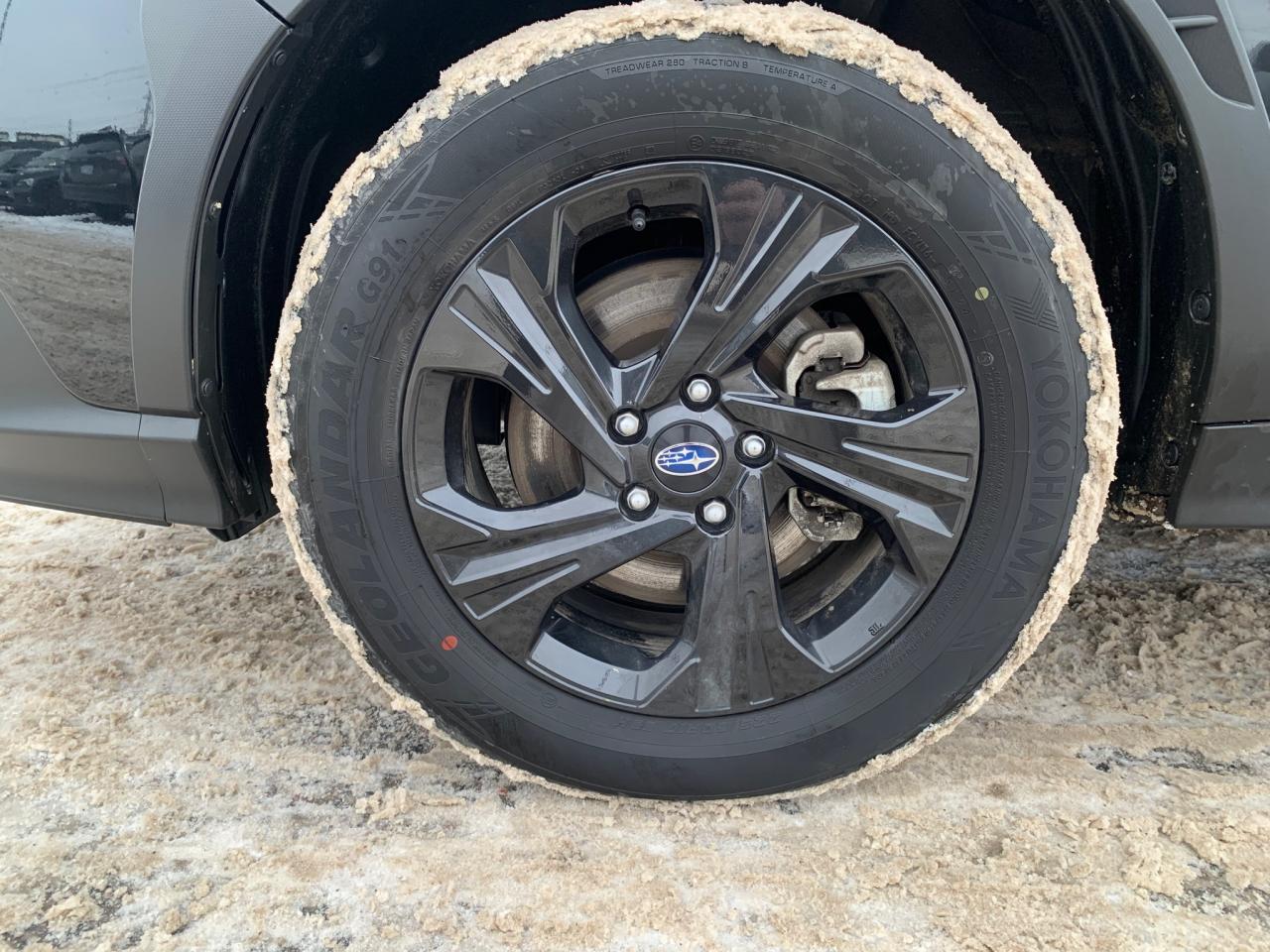 2025 Subaru Crosstrek Convenience 4dr All-Wheel Drive Photo