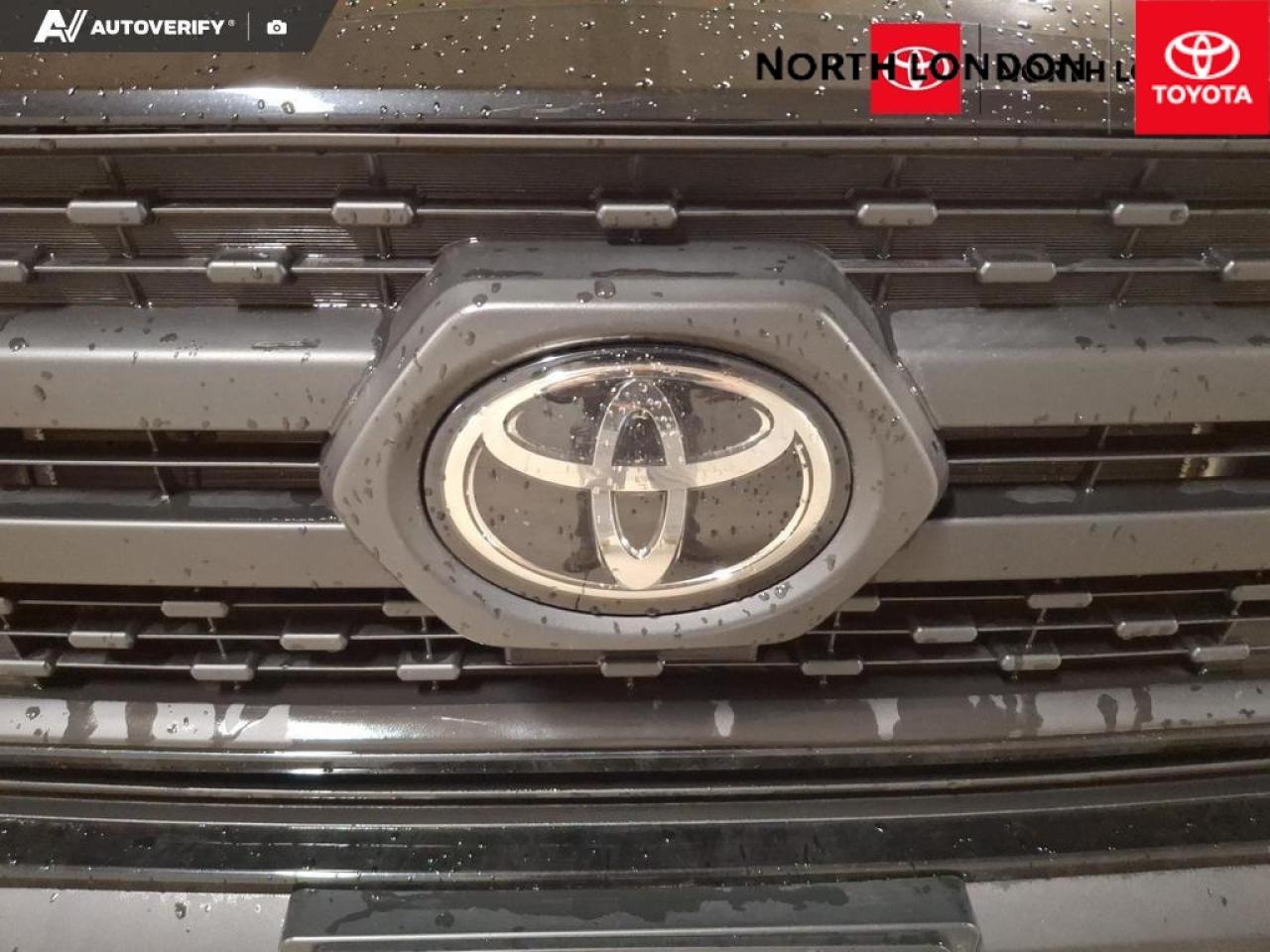 2019 Toyota RAV4 Trail 4dr All-Wheel Drive Photo