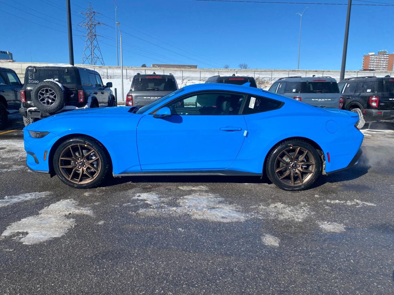 2026 Ford Mustang  Photo