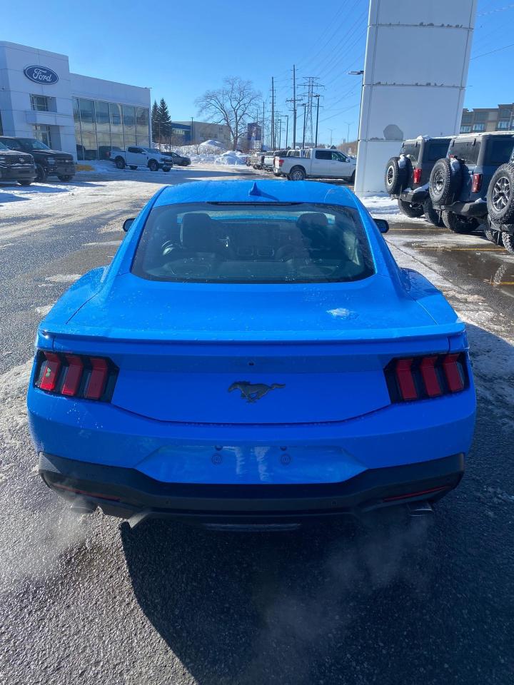 2026 Ford Mustang  Photo