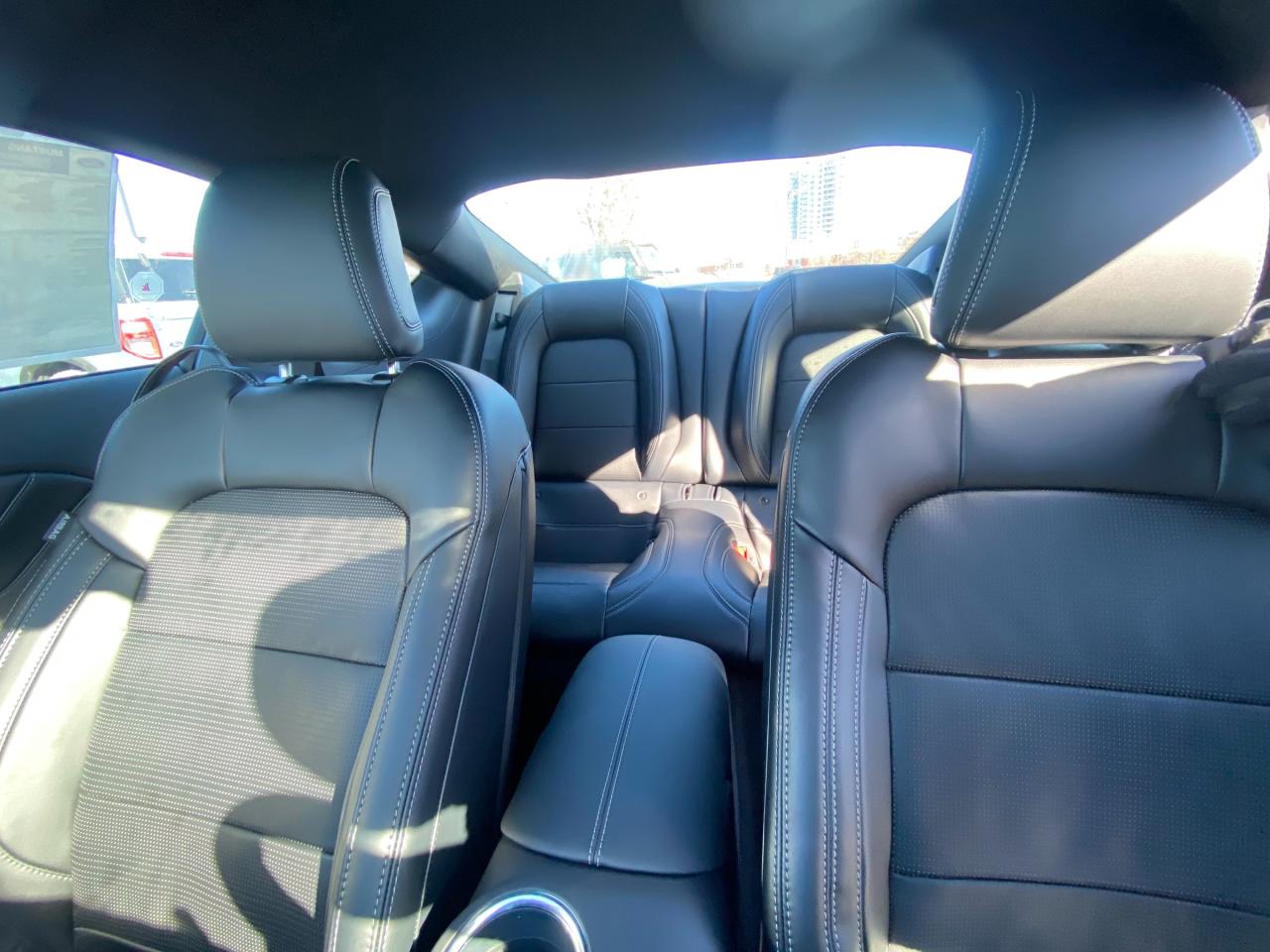 2026 Ford Mustang  Photo