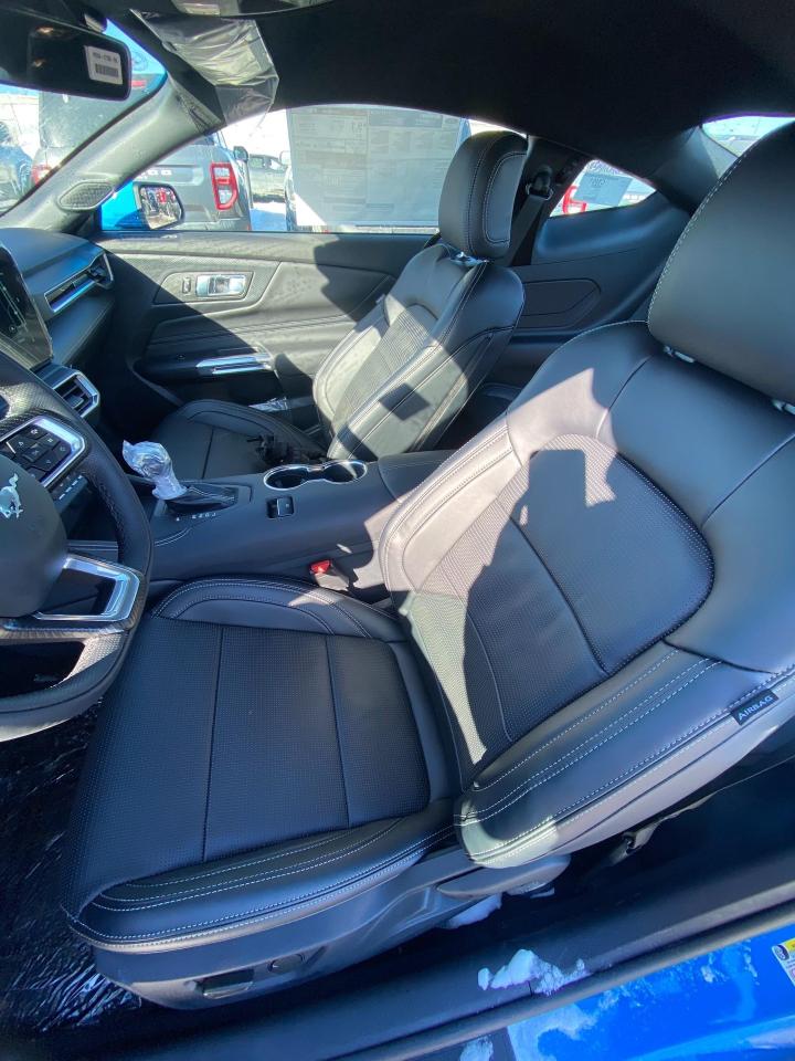 2026 Ford Mustang  Photo