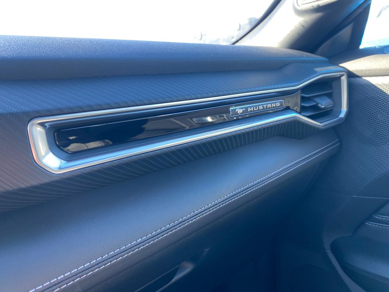 2026 Ford Mustang  Photo