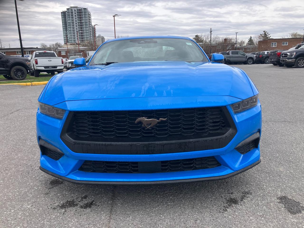 2026 Ford Mustang EcoBoost 2dr Fastback Photo