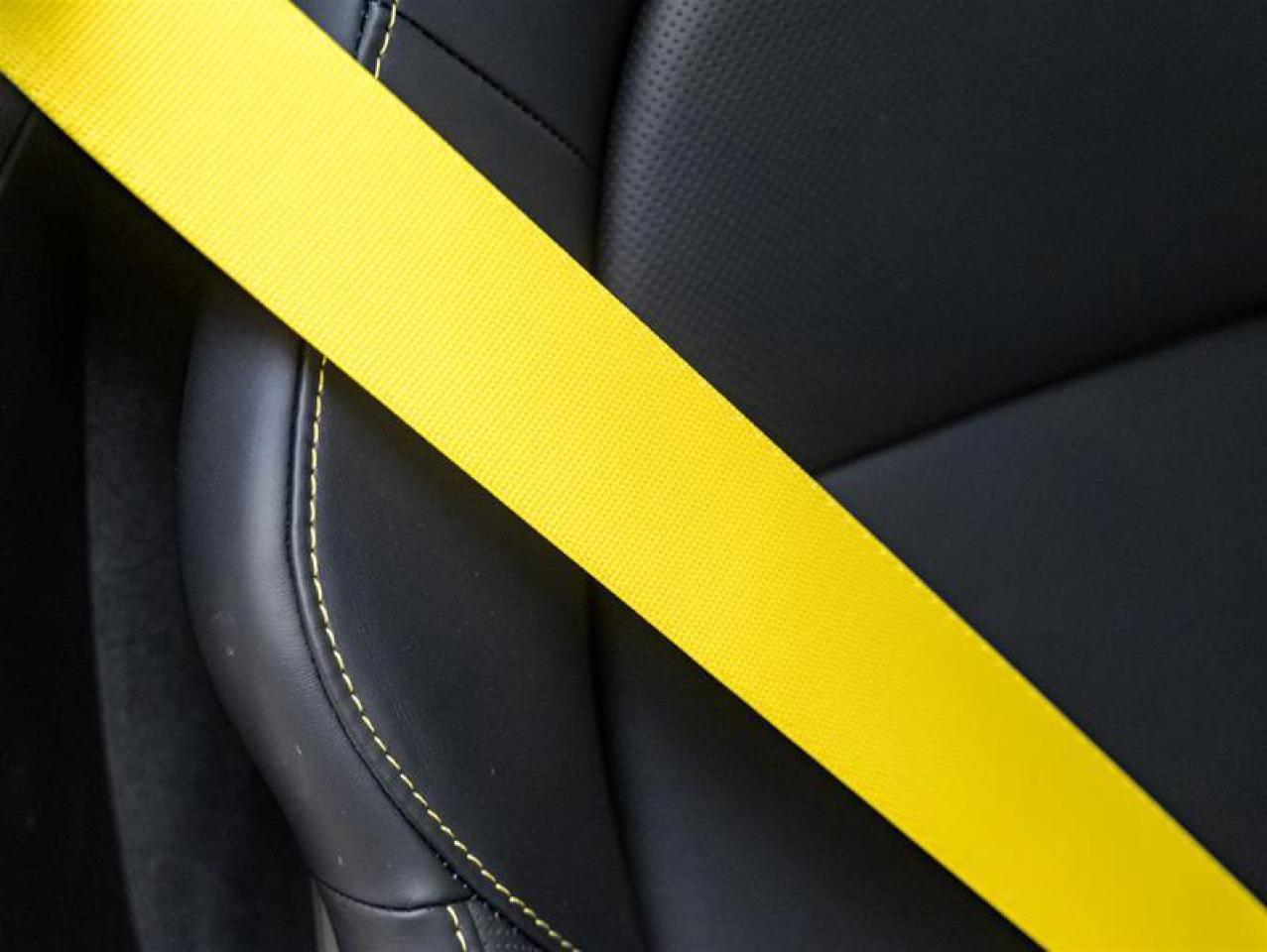 2025 Porsche 718 Cayman  Photo