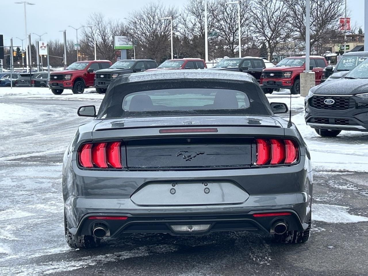 2018 Ford Mustang  Photo