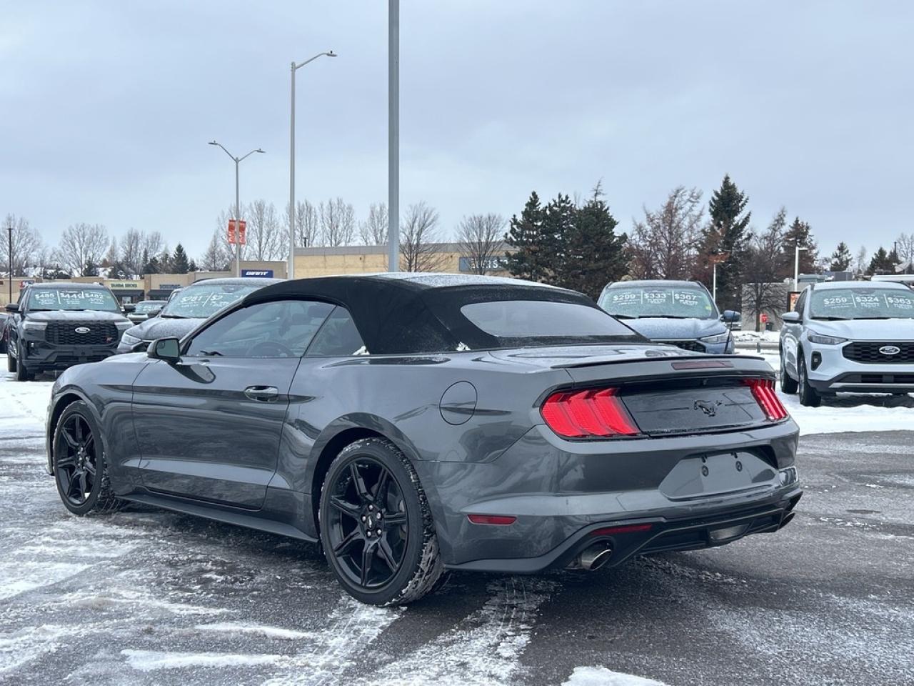 2018 Ford Mustang  Photo