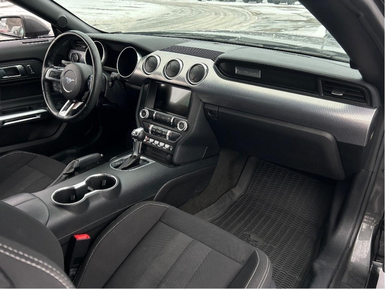 2018 Ford Mustang  Photo