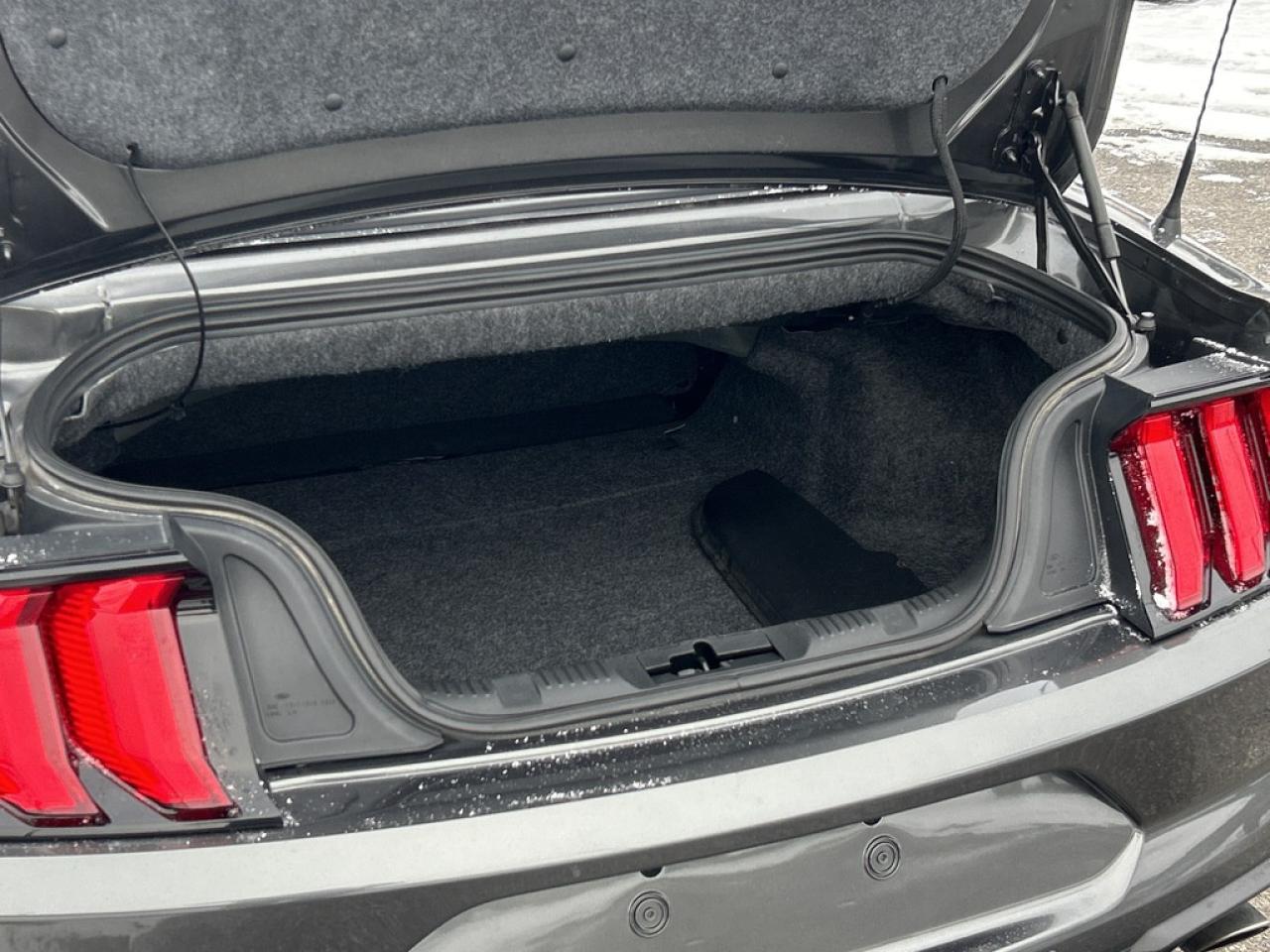 2018 Ford Mustang  Photo