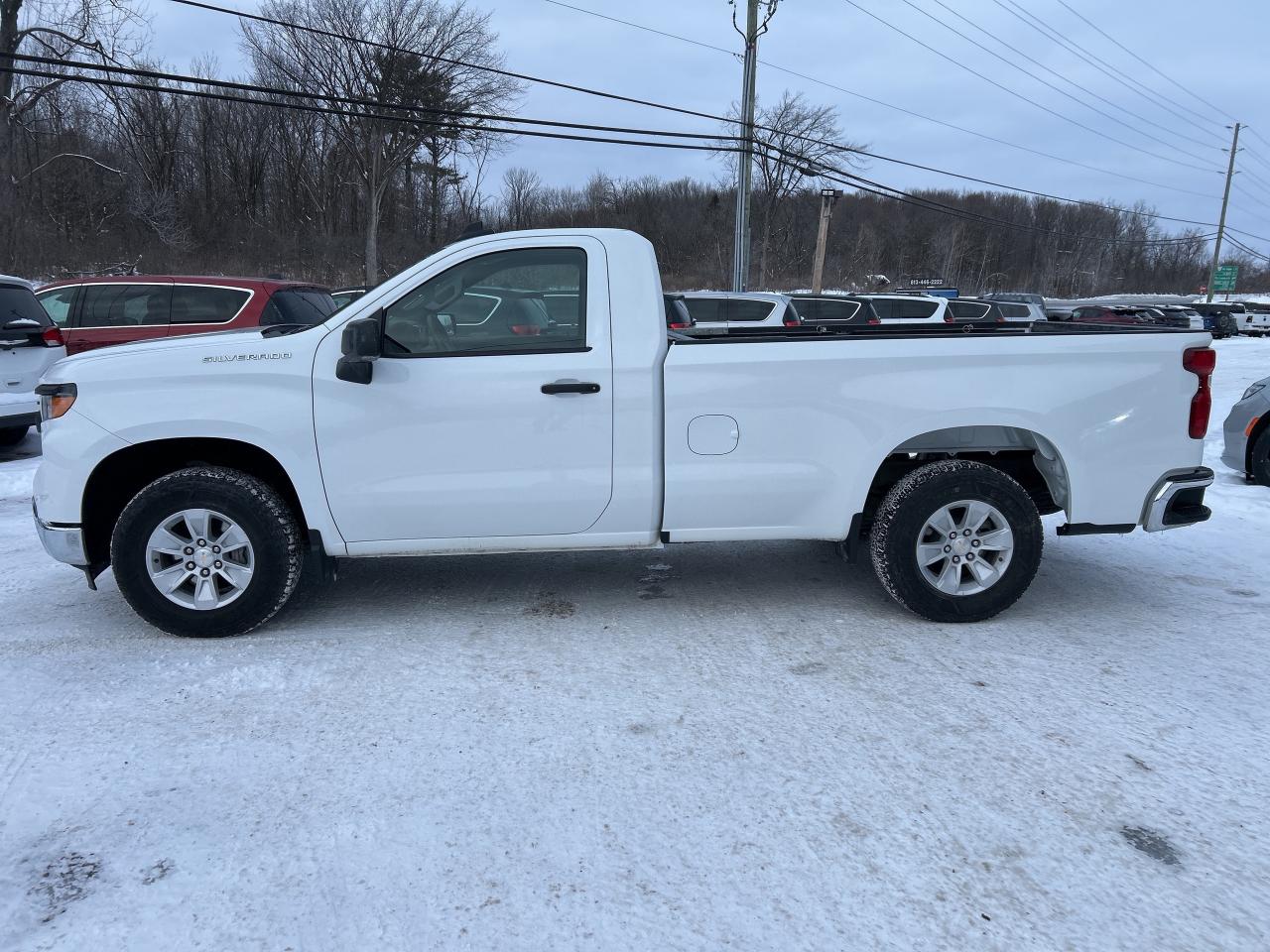 2024 Chevrolet Silverado 1500 Work Truck Photo