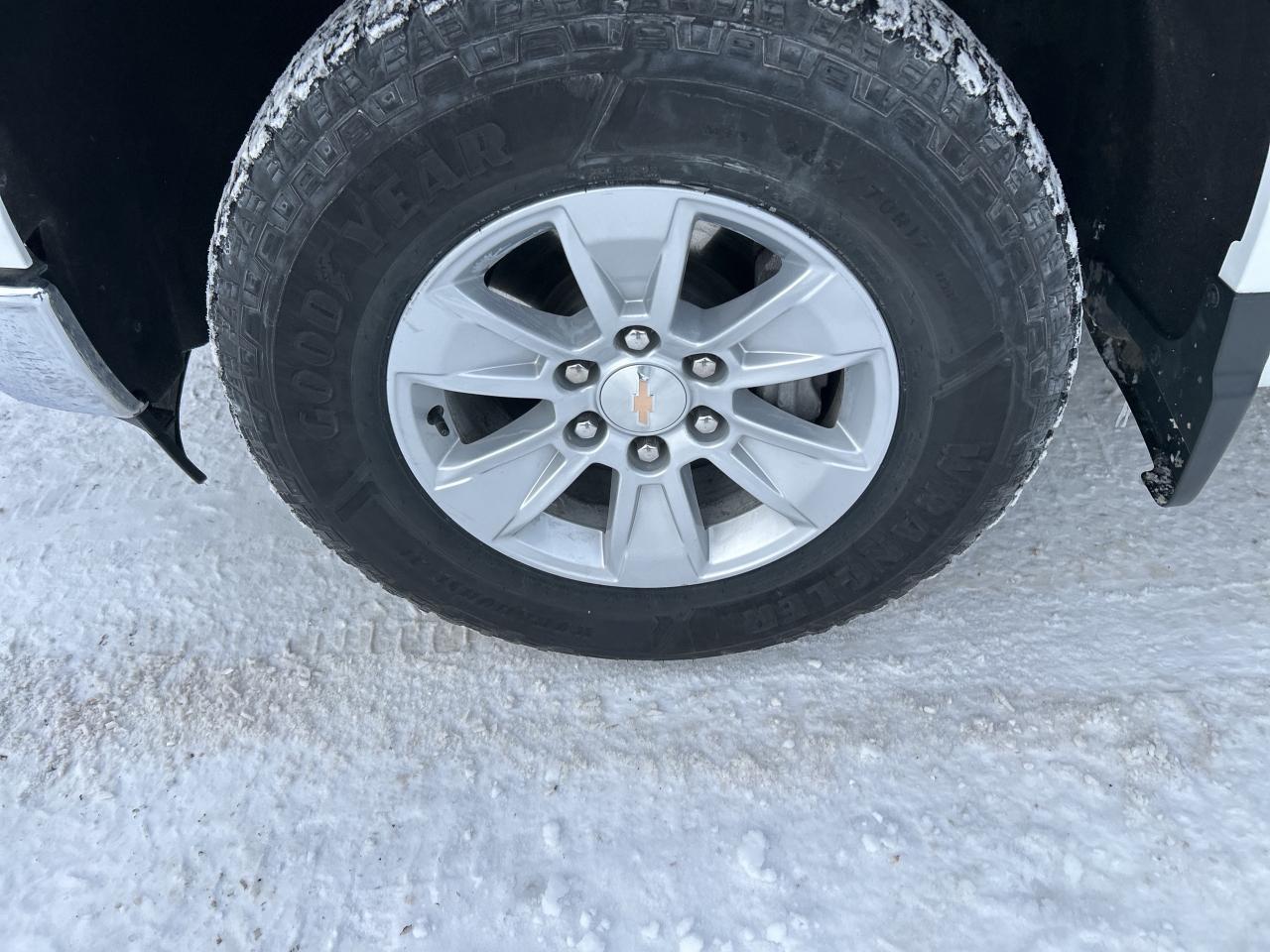 2024 Chevrolet Silverado 1500 Work Truck Photo