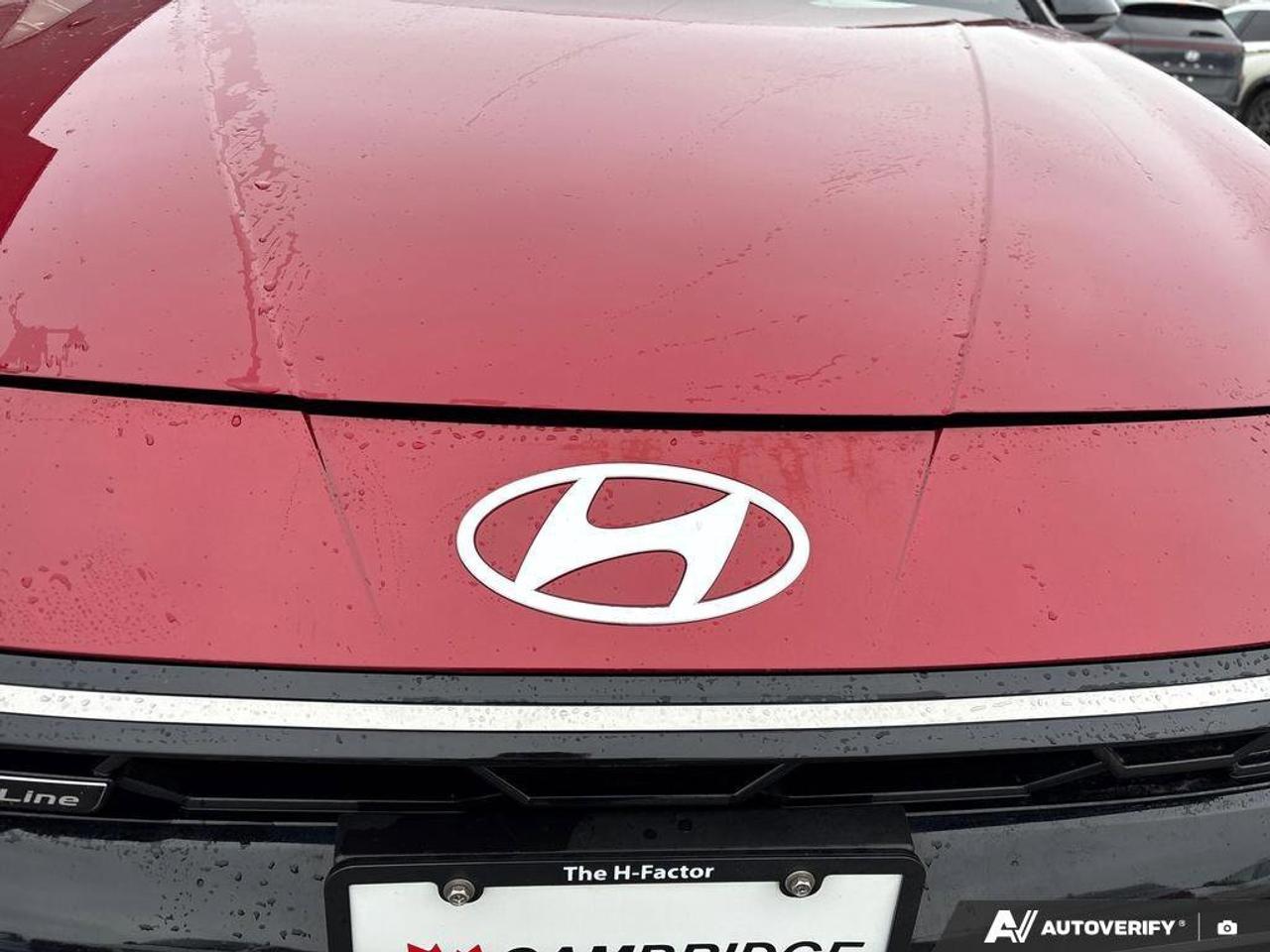 2025 Hyundai Elantra N Line Ultimate   CLEAN CARFAX   ONE OWNER   SUNRO Photo