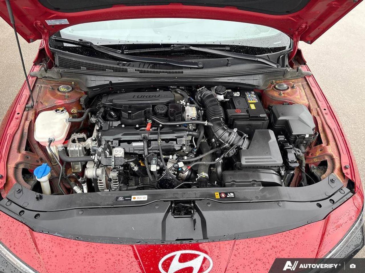 2025 Hyundai Elantra N Line Ultimate   CLEAN CARFAX   ONE OWNER   SUNRO Photo