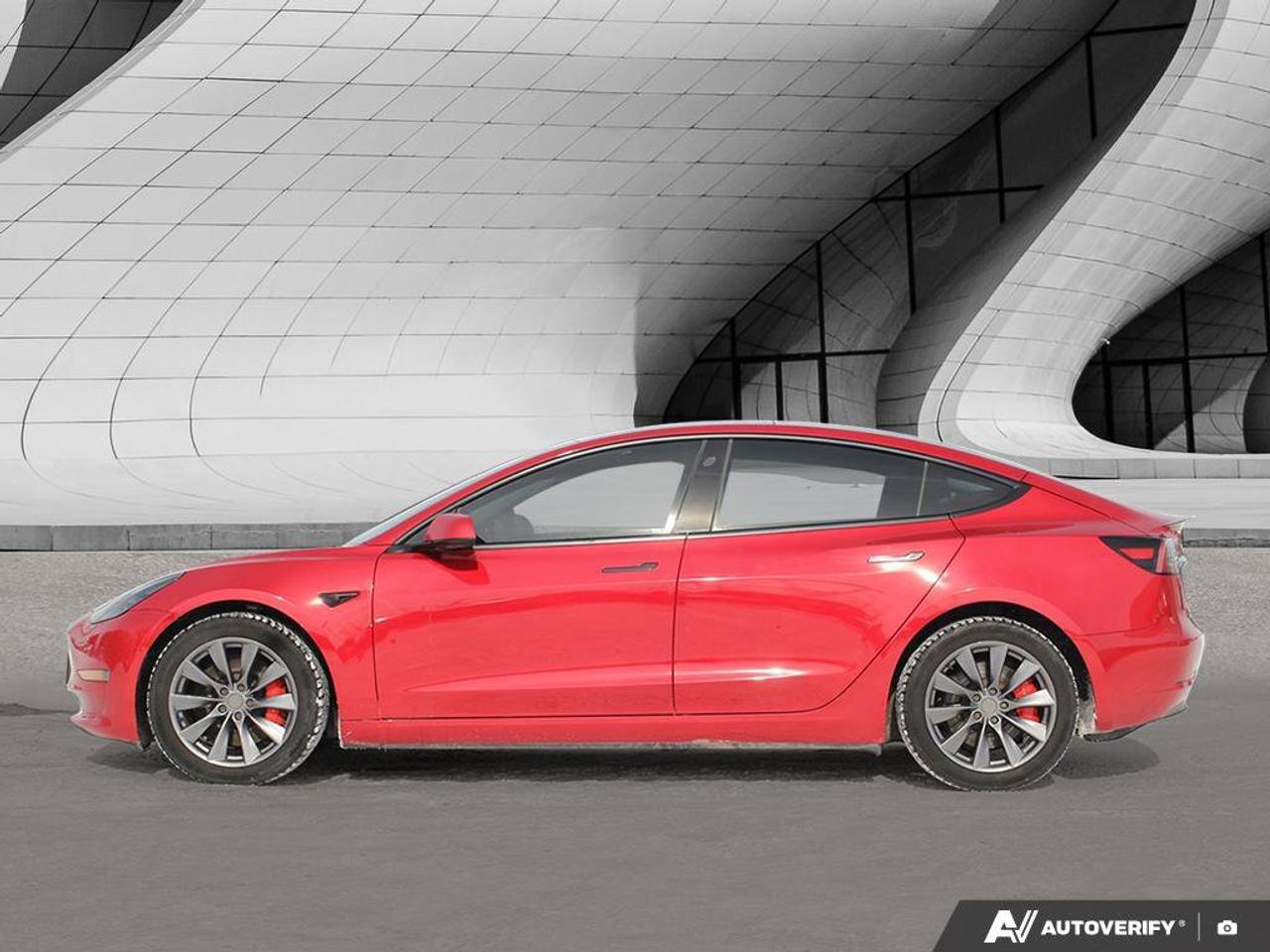 2023 Tesla Model 3 Performance Photo