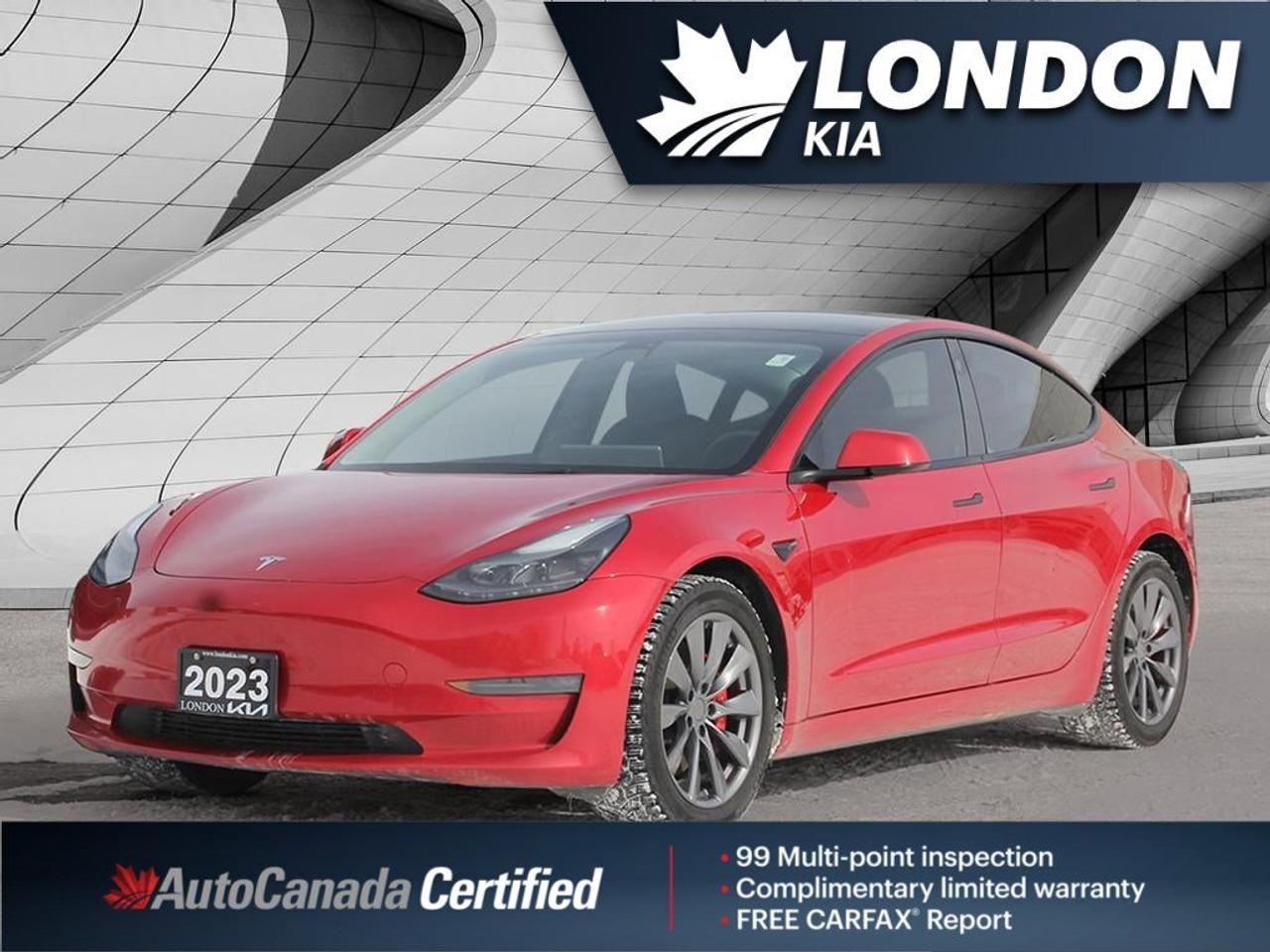 2023 Tesla Model 3 Performance Photo0