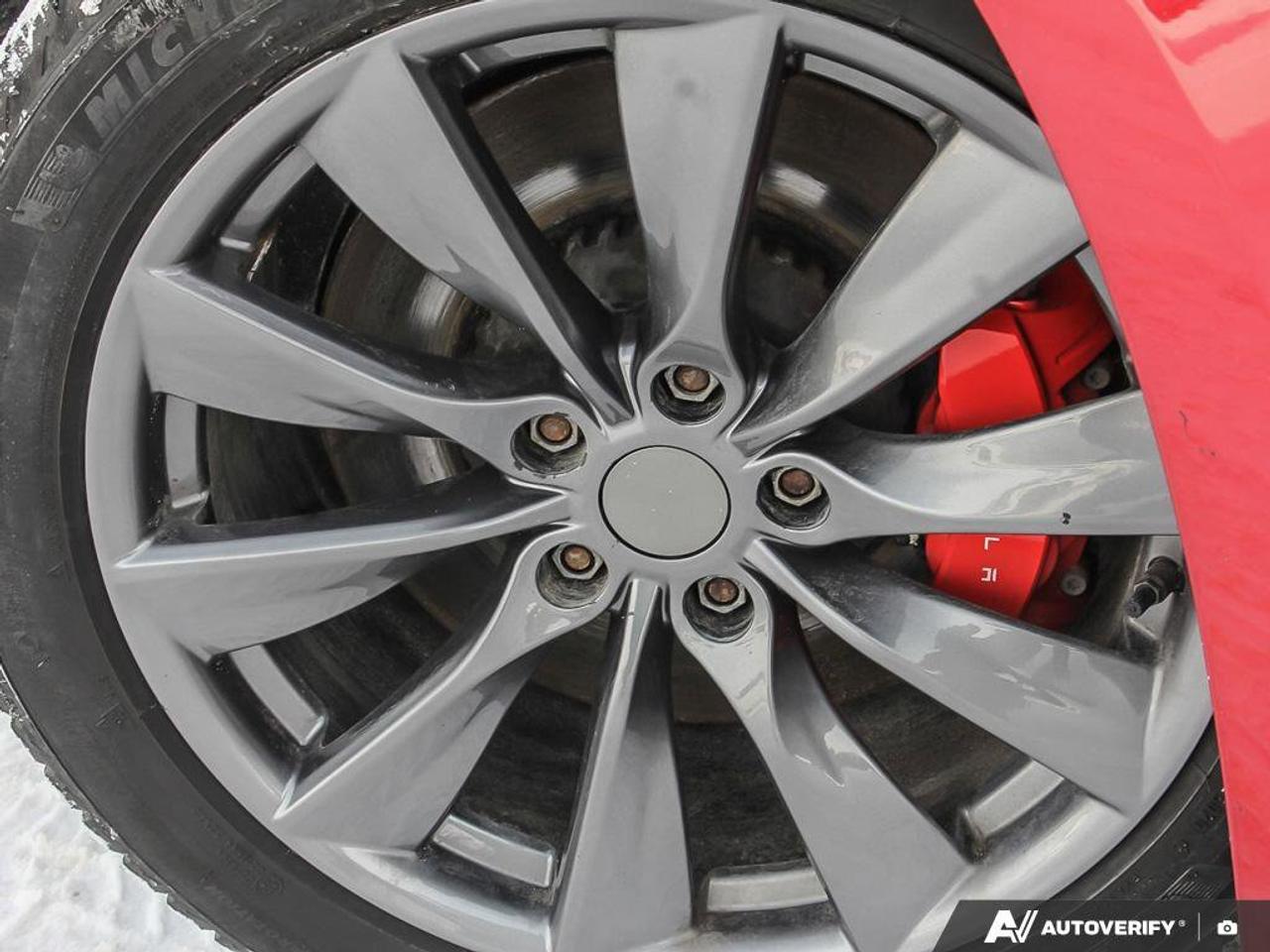 2023 Tesla Model 3 Performance Photo