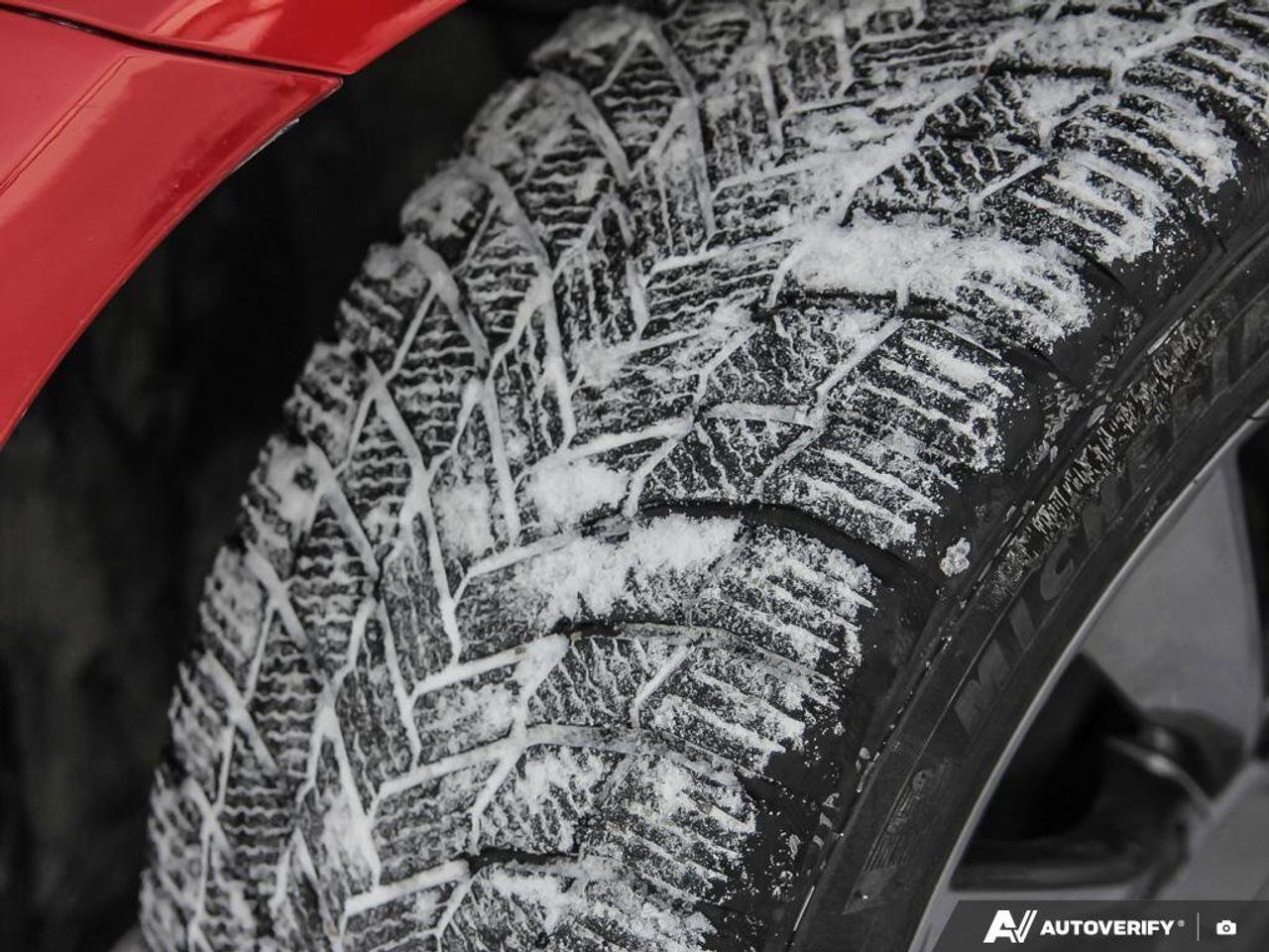 2023 Tesla Model 3 Performance Photo