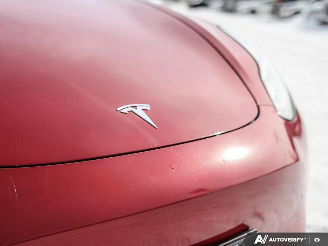 2023 Tesla Model 3 Performance Photo