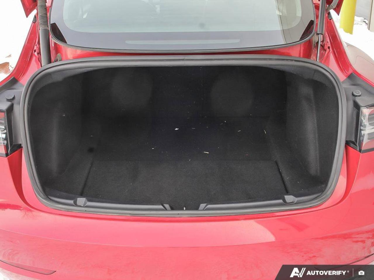 2023 Tesla Model 3 Performance Photo