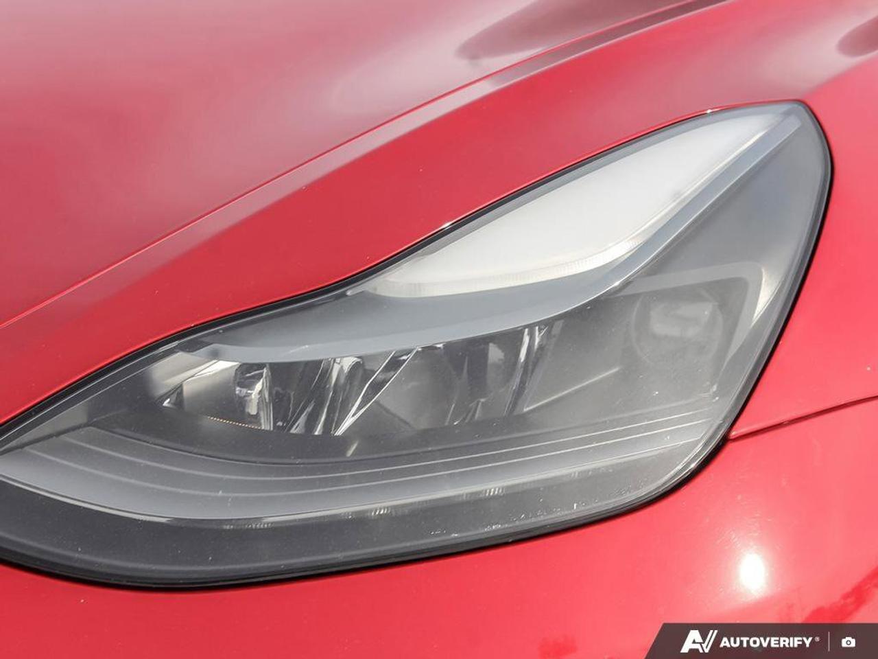 2023 Tesla Model 3 Performance Photo