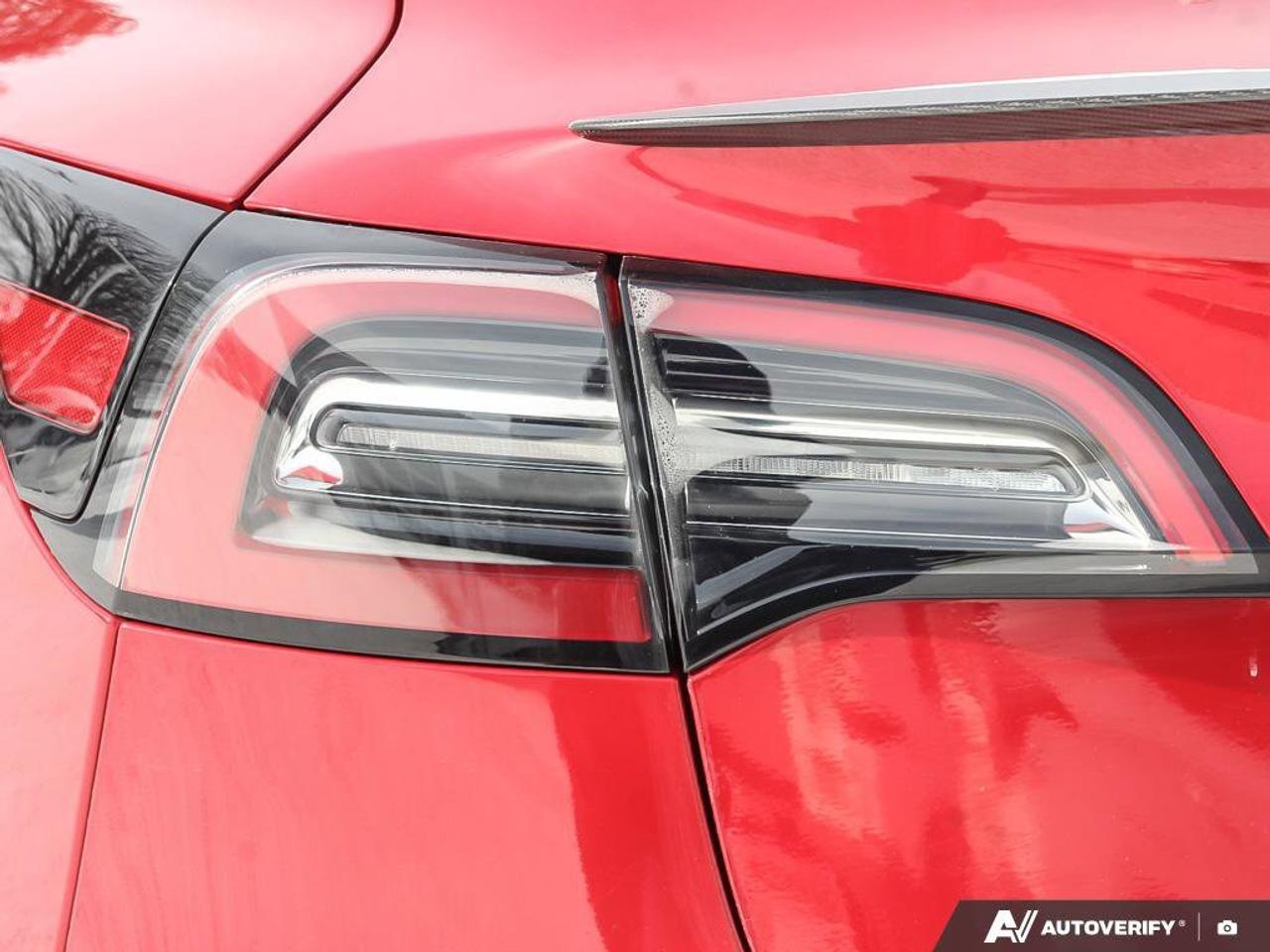 2023 Tesla Model 3 Performance Photo