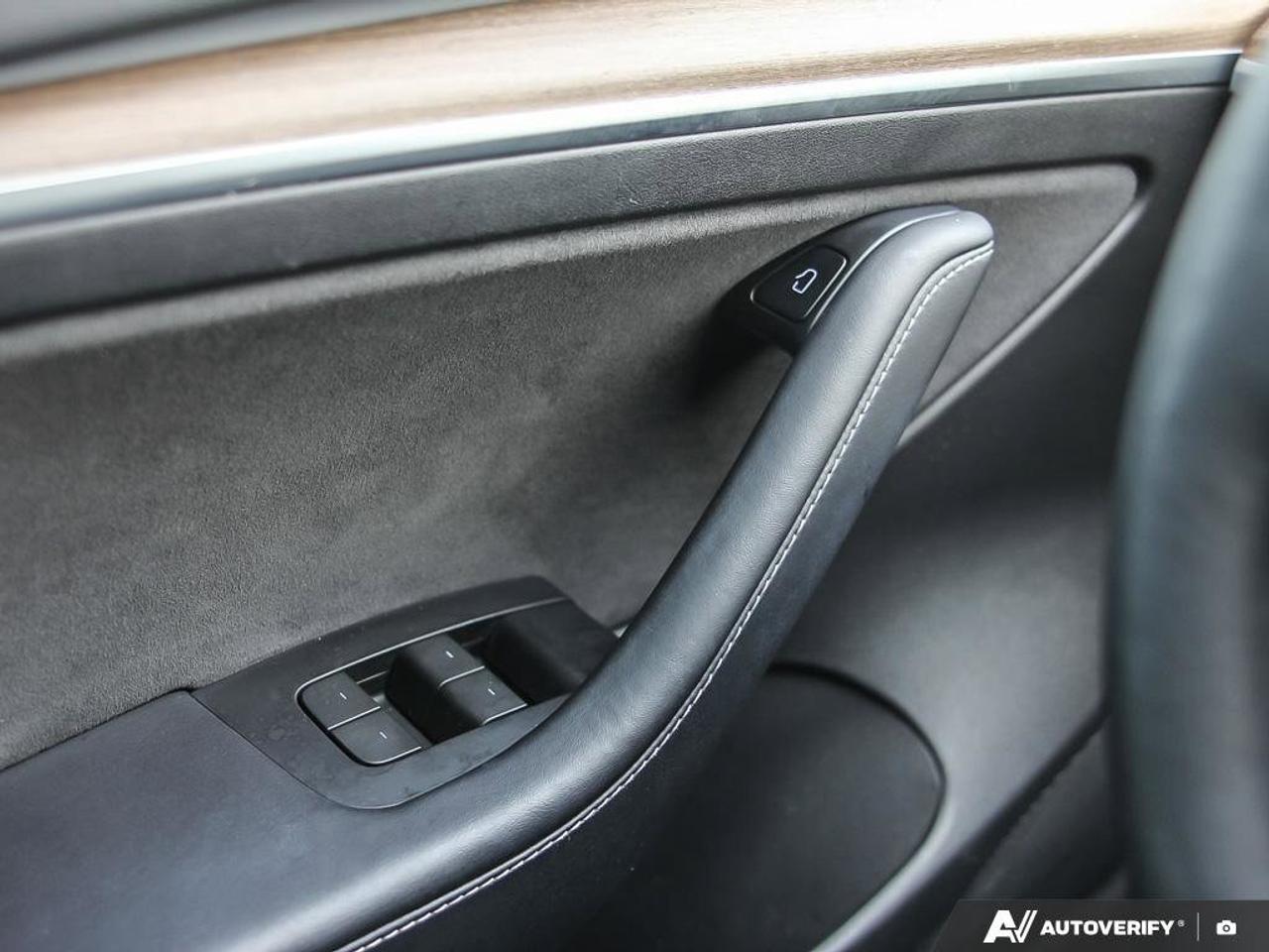 2023 Tesla Model 3 Performance Photo