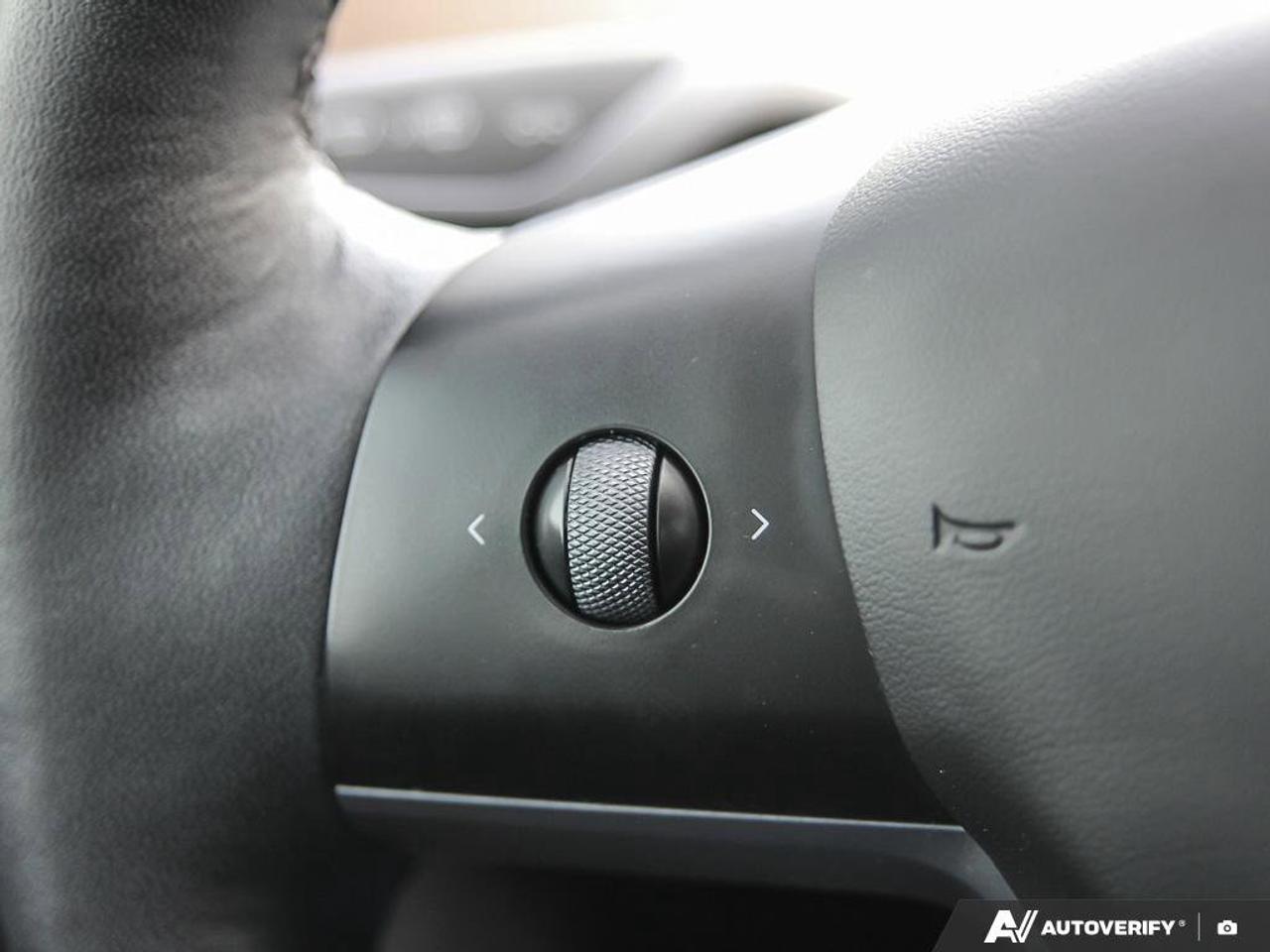 2023 Tesla Model 3 Performance Photo