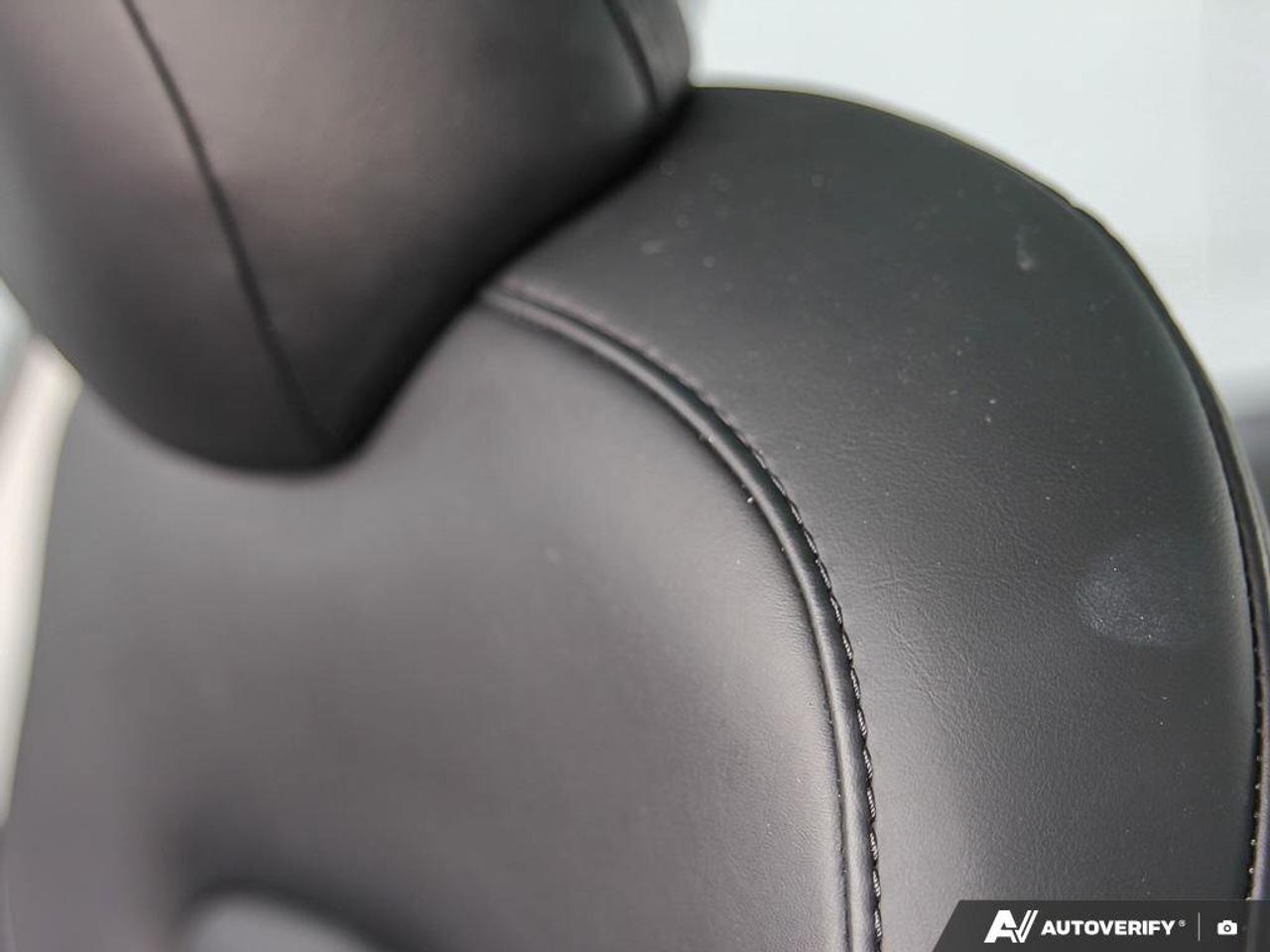 2023 Tesla Model 3 Performance Photo