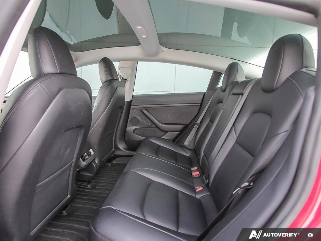 2023 Tesla Model 3 Performance Photo