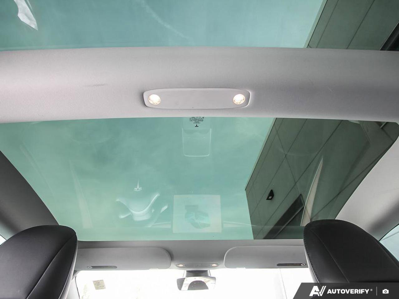 2023 Tesla Model 3 Performance Photo