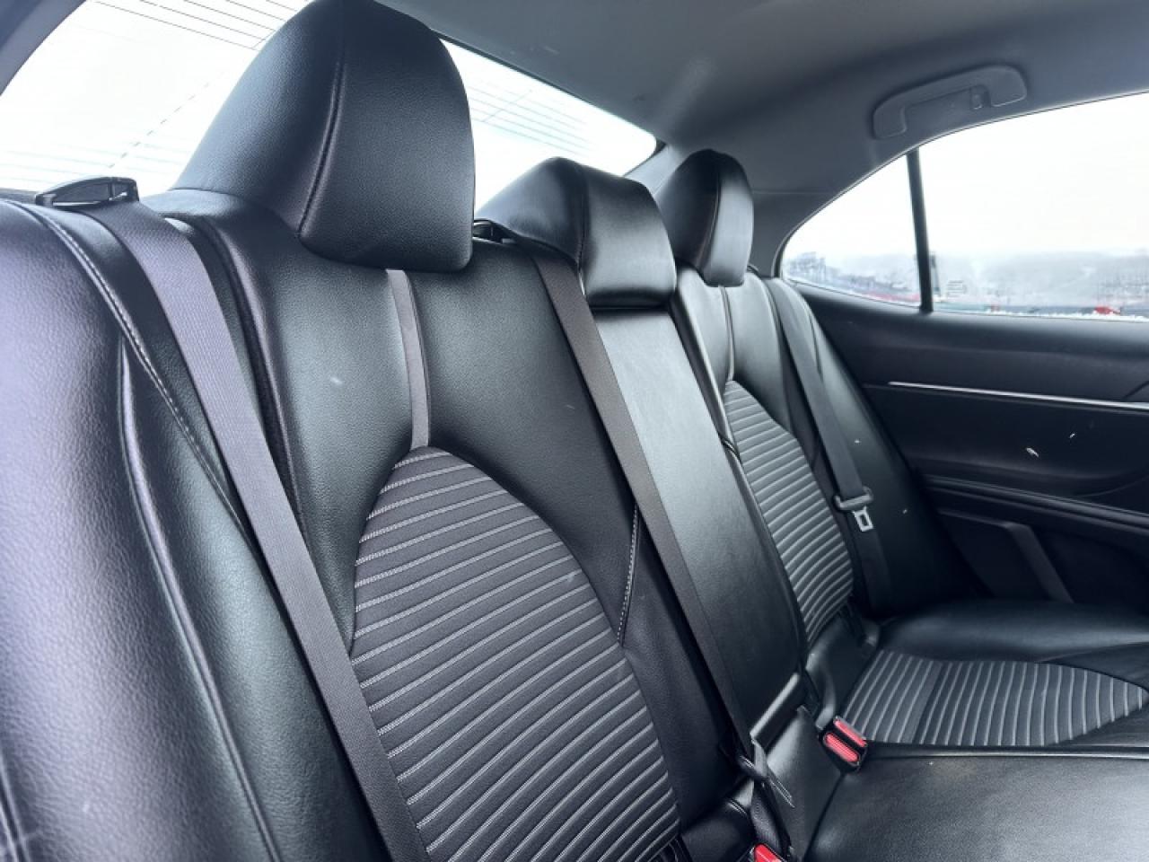 2023 Toyota Camry SE Photo