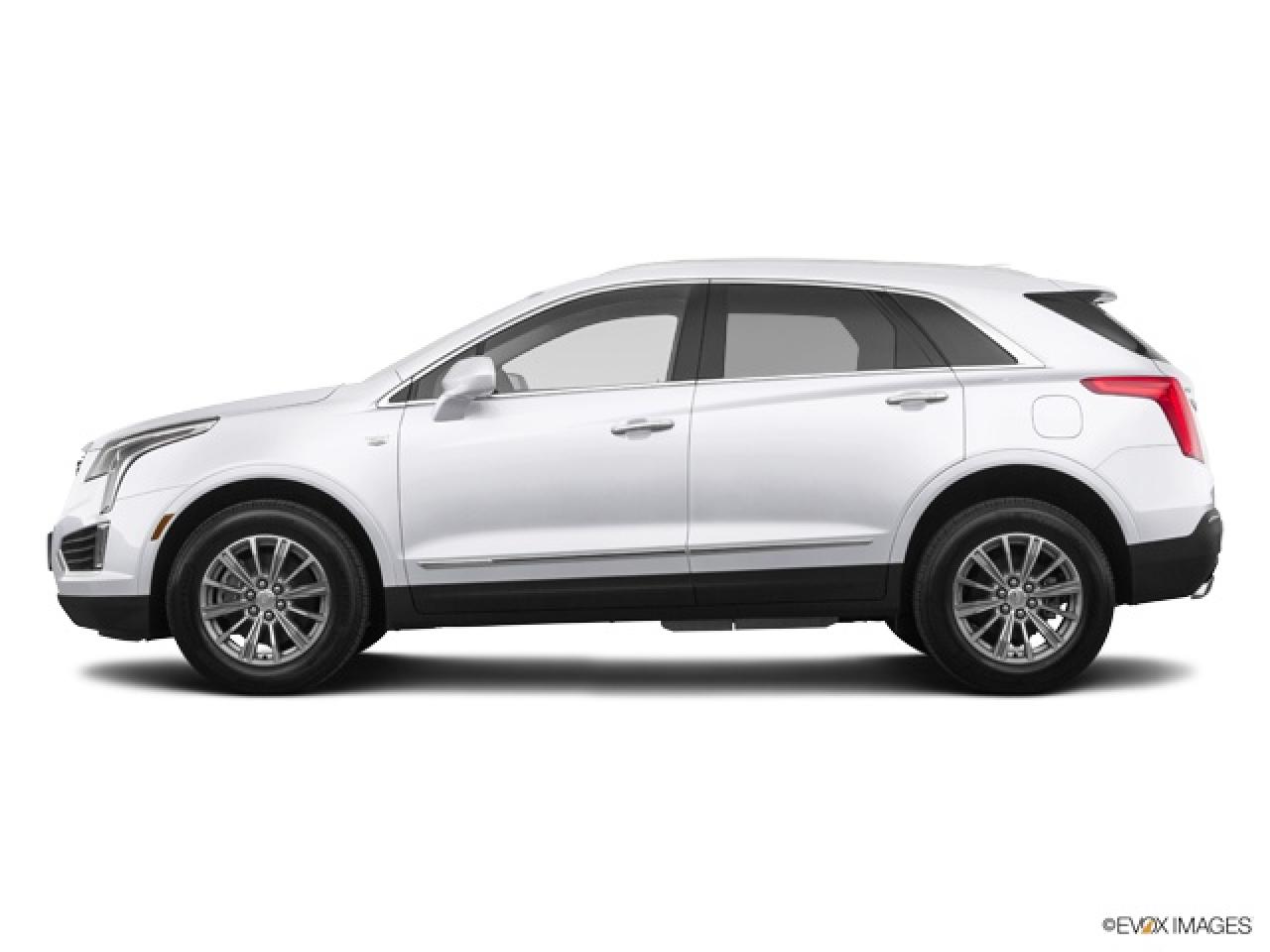 2019 Cadillac XT5 Luxury Low KM Panoramic Sunroof Leather BOSE Photo3