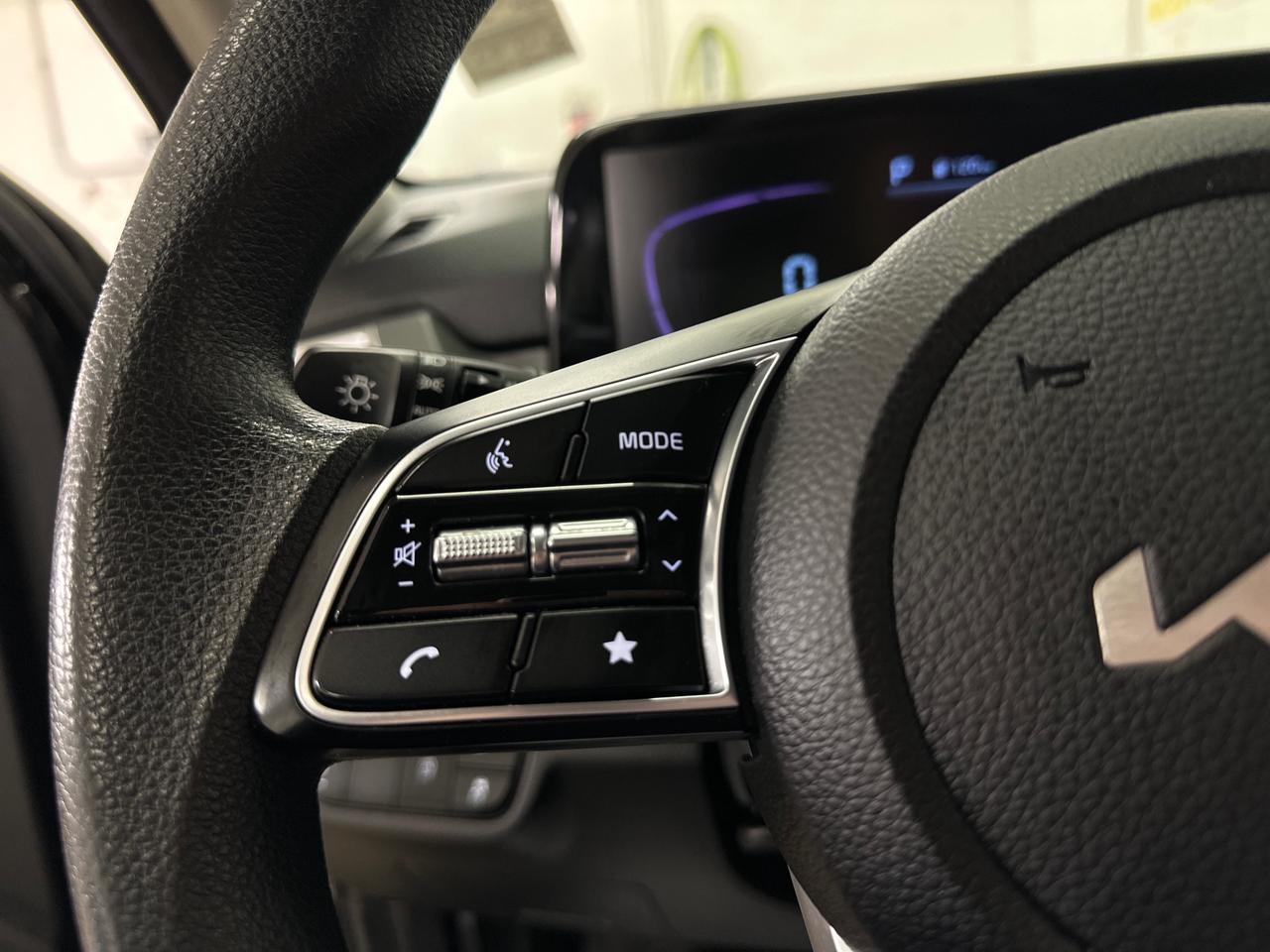 2024 Kia Seltos LX 4dr All-Wheel Drive Photo