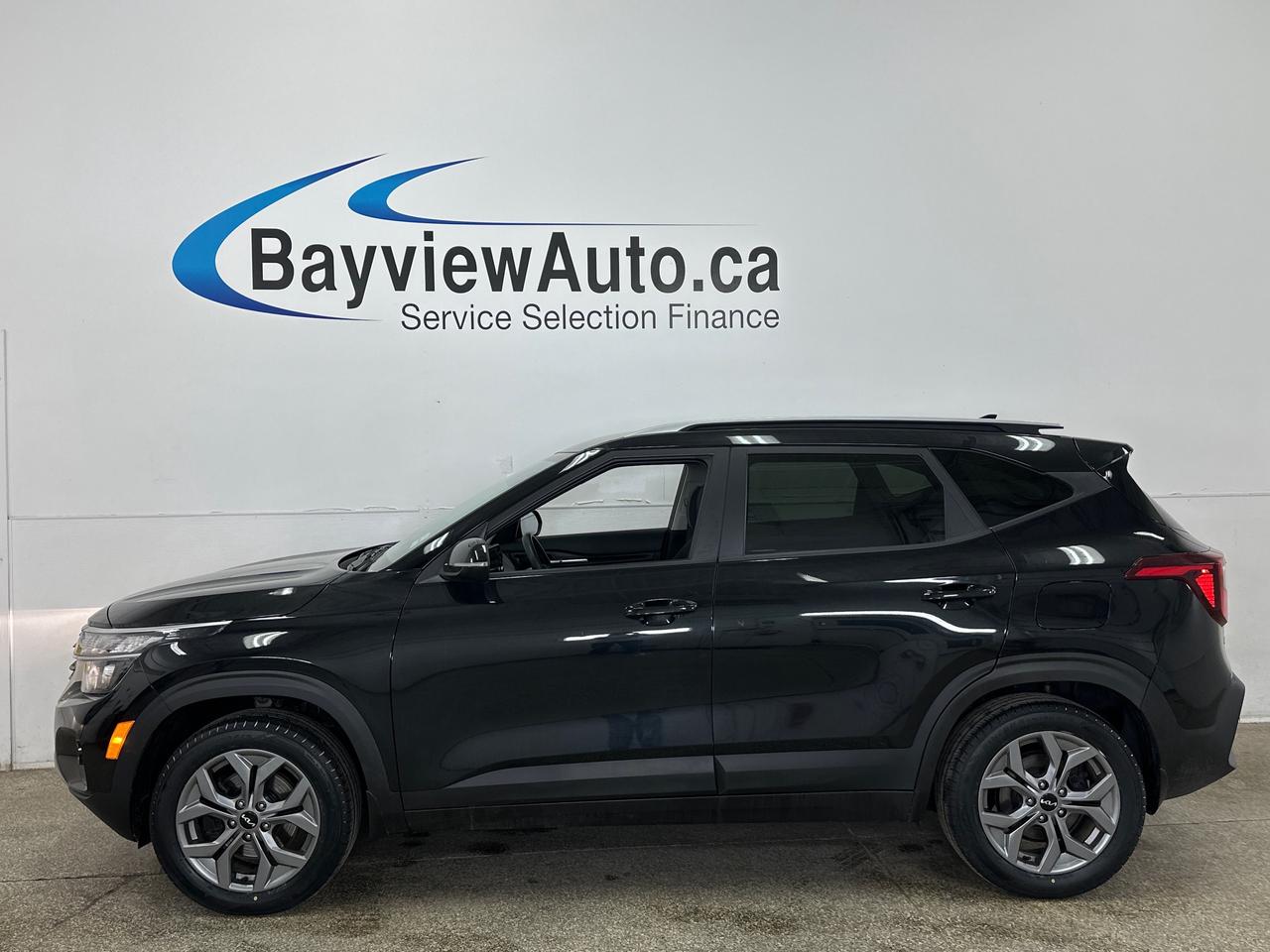 2024 Kia Seltos LX 4dr All-Wheel Drive Photo3