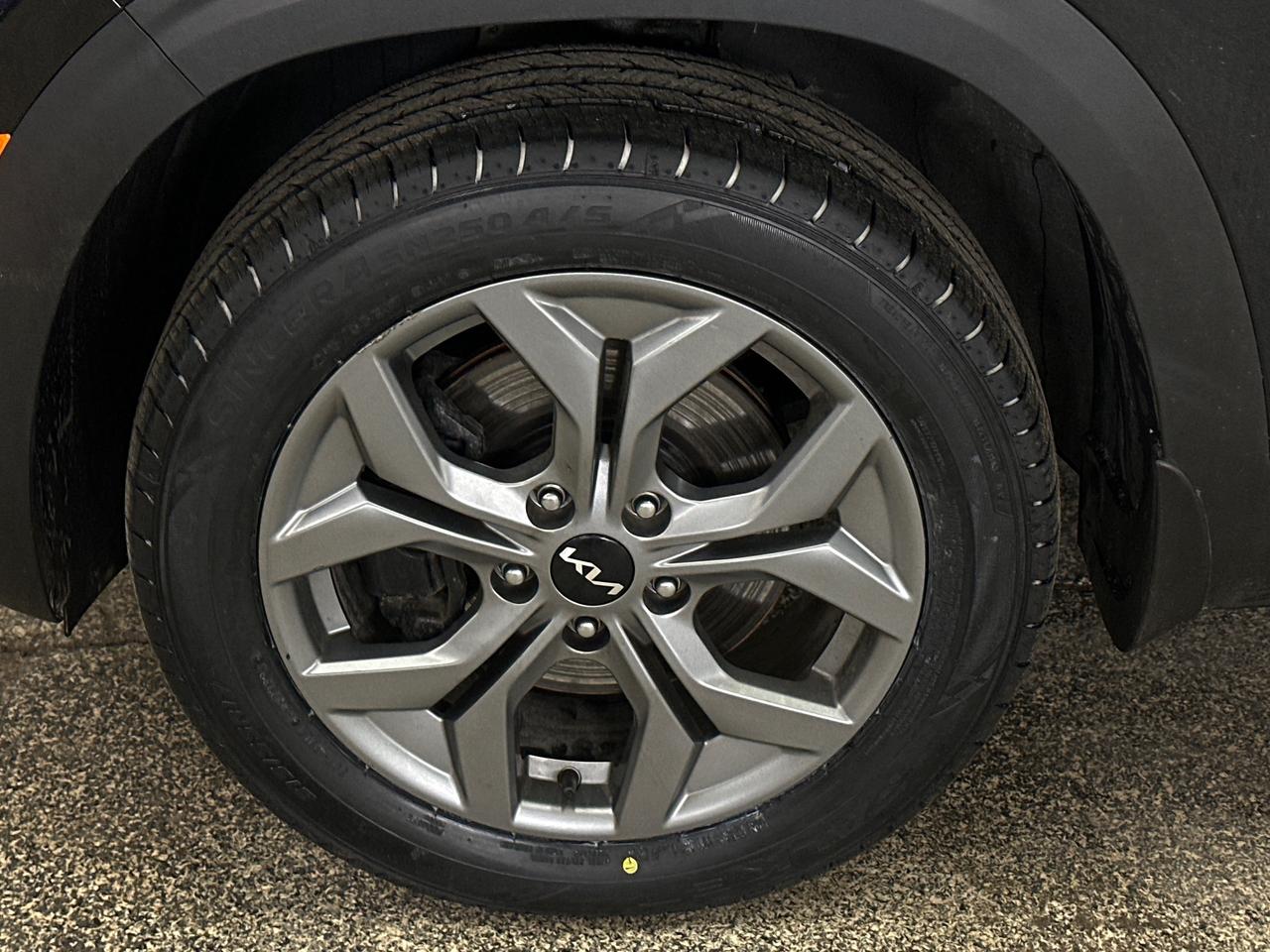 2024 Kia Seltos LX 4dr All-Wheel Drive Photo