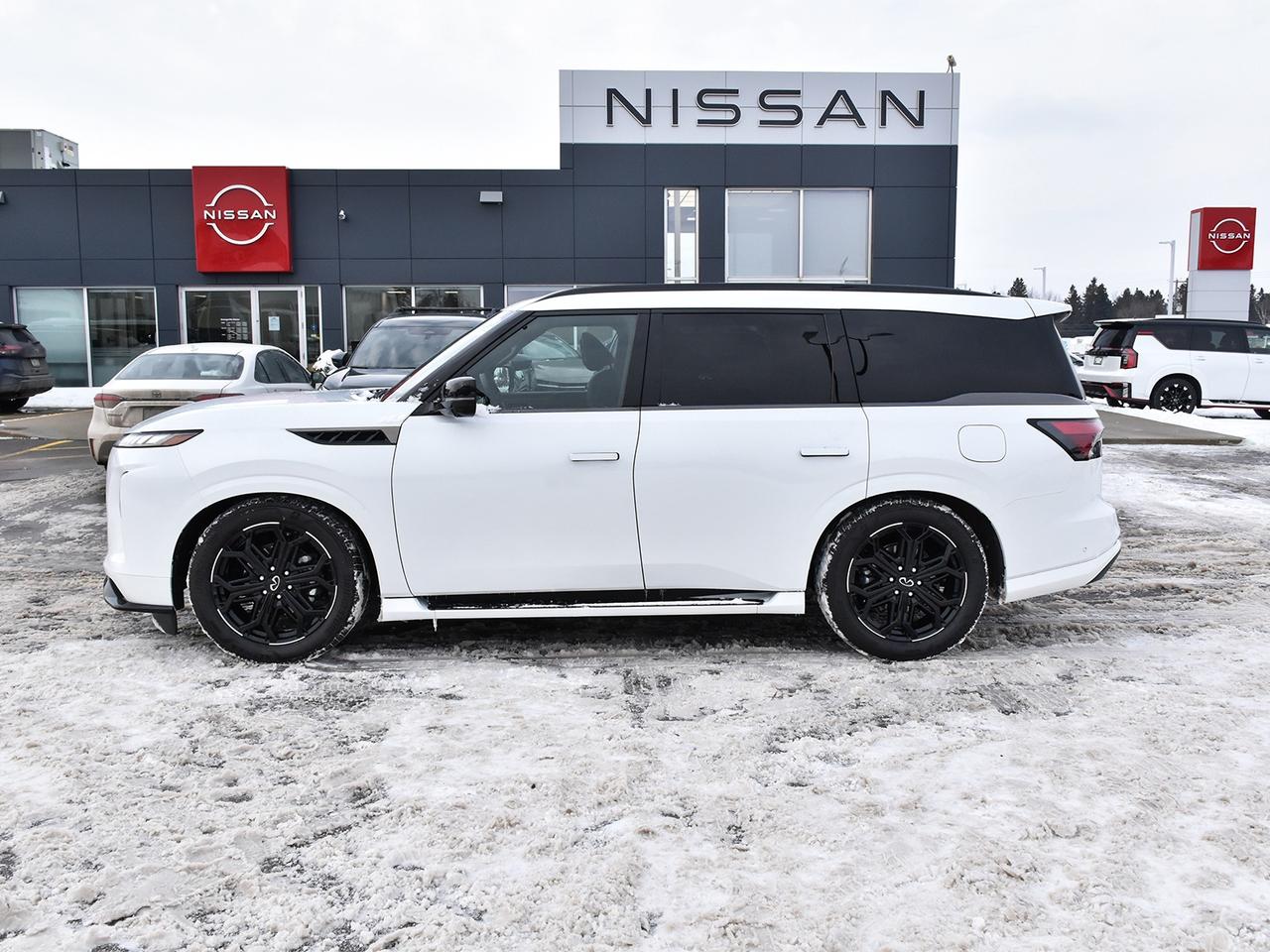 2026 Infiniti QX80 SPORT  MASSAGE SEATS - NO LUXURY TAX Photo4