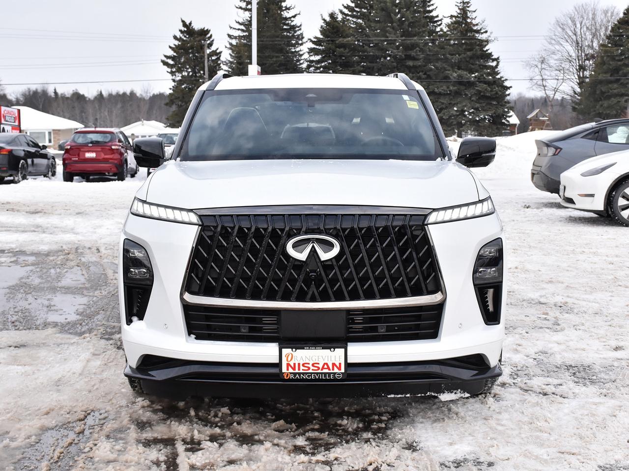 2026 Infiniti QX80 SPORT  MASSAGE SEATS - NO LUXURY TAX Photo