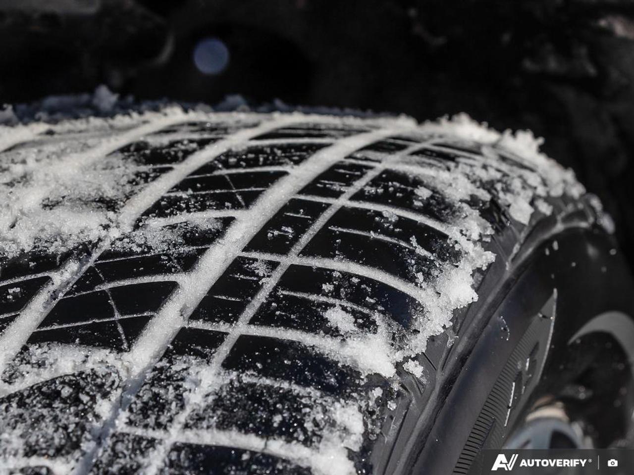 2025 Hyundai PALISADE Local Trade   Accident Free Photo