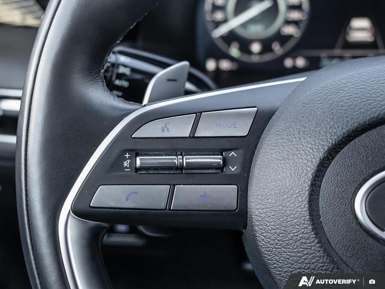 2025 Hyundai PALISADE Local Trade   Accident Free Photo