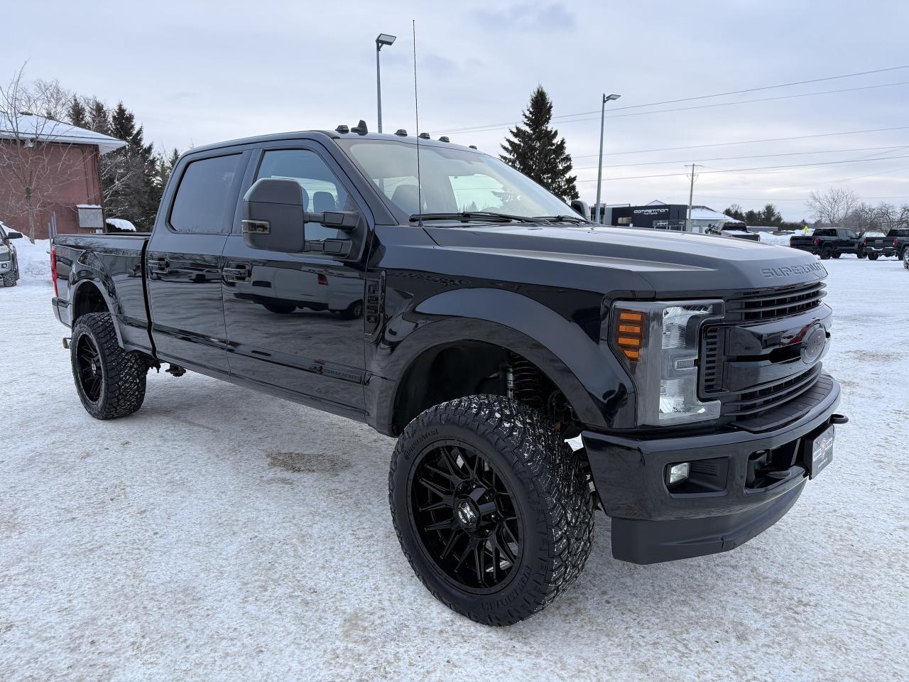 2019 Ford F-250 XLT 4WD Crew Cab 6.75' Box Photo