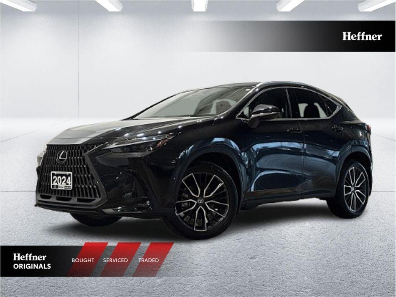2024 Lexus NX 350h  Photo