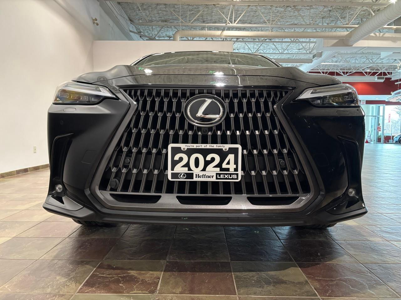 2024 Lexus NX 350h  Photo