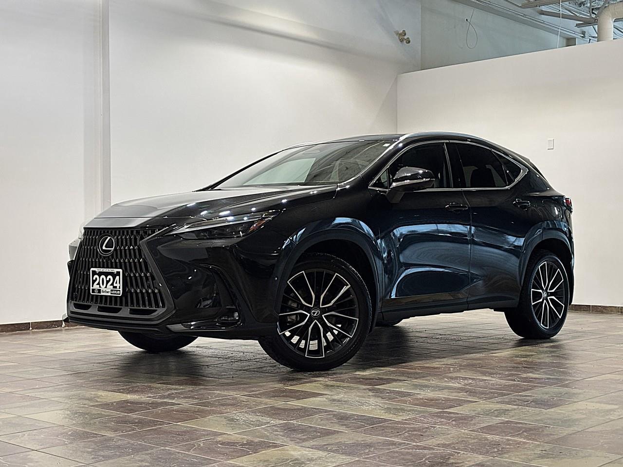 2024 Lexus NX 350h  Photo