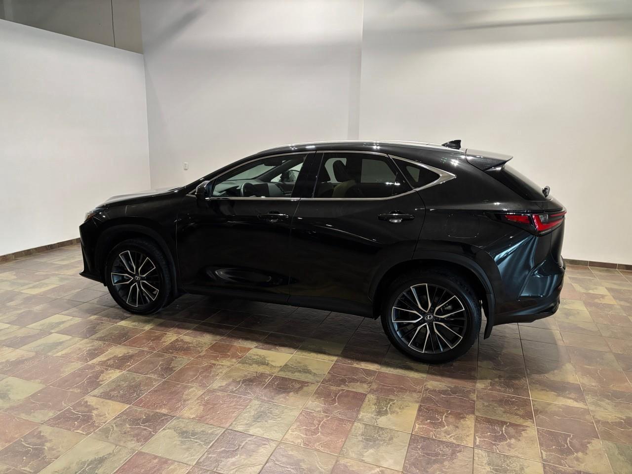 2024 Lexus NX 350h  Photo