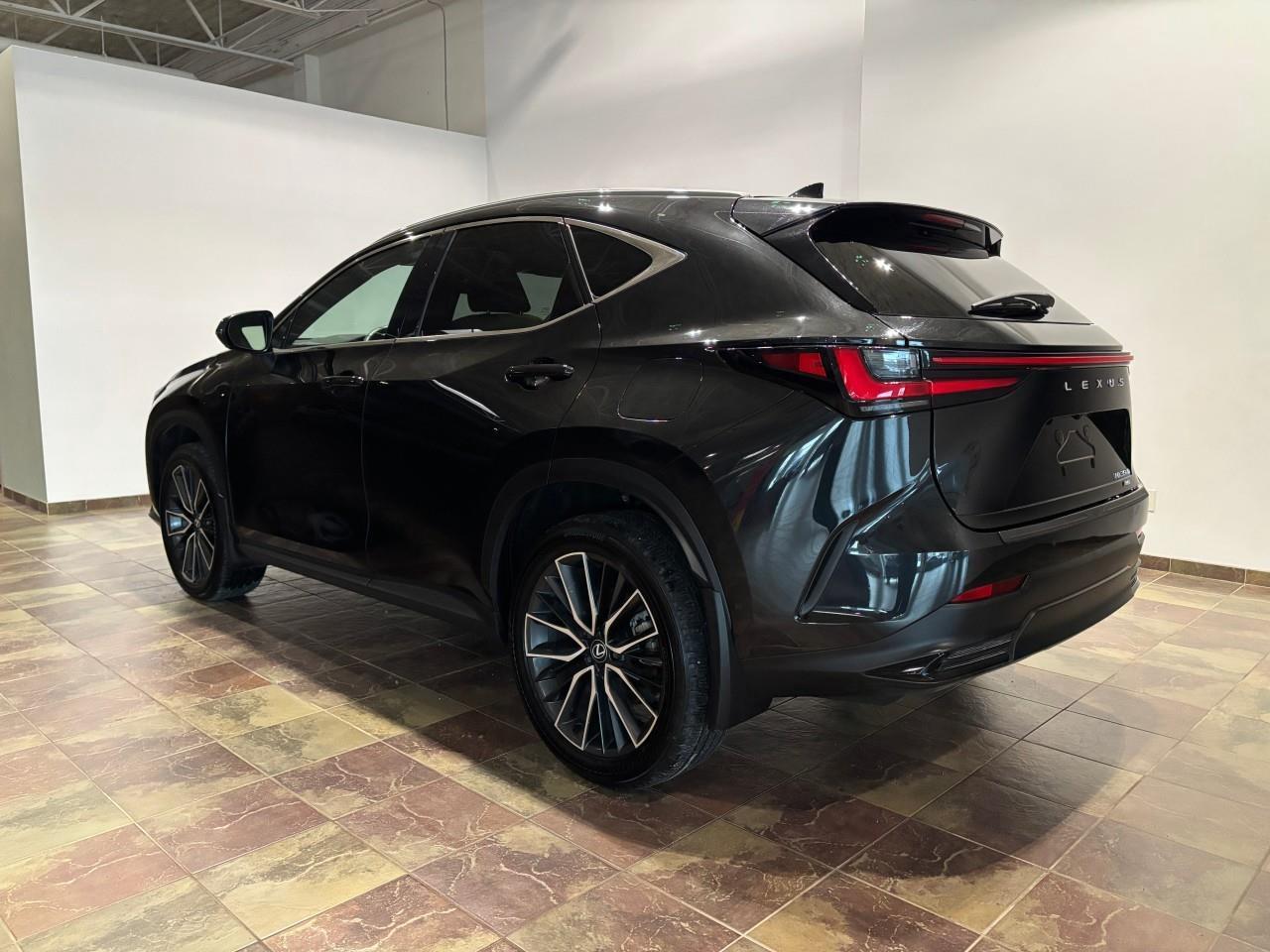 2024 Lexus NX 350h  Photo