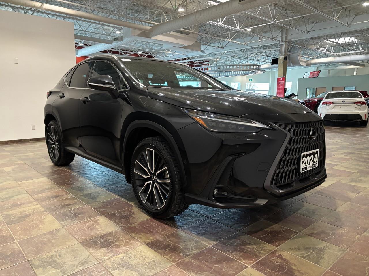 2024 Lexus NX 350h  Photo