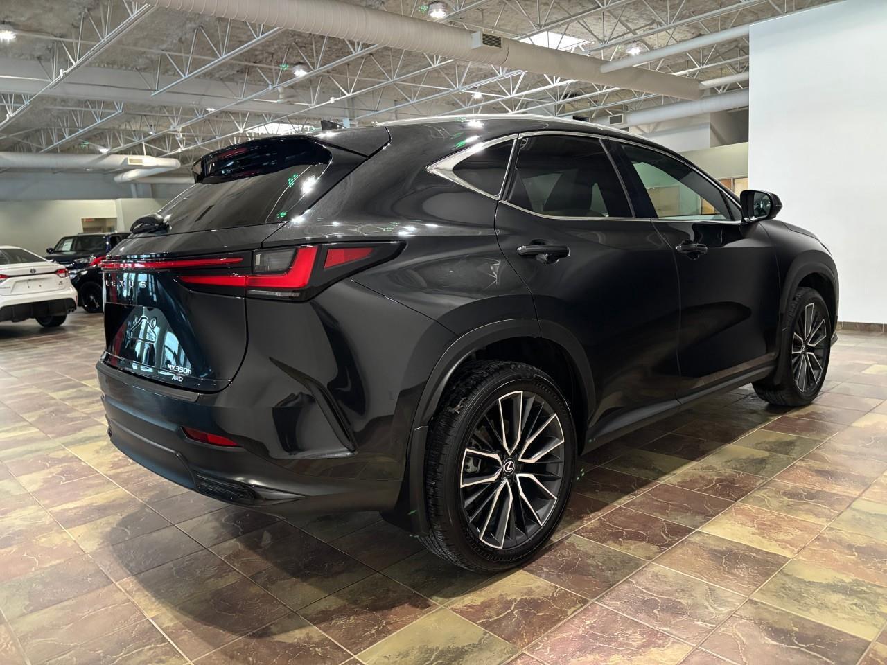 2024 Lexus NX 350h  Photo