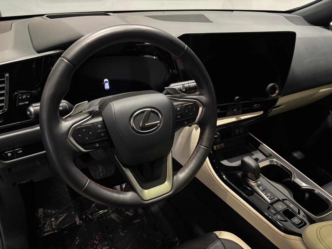 2024 Lexus NX 350h  Photo